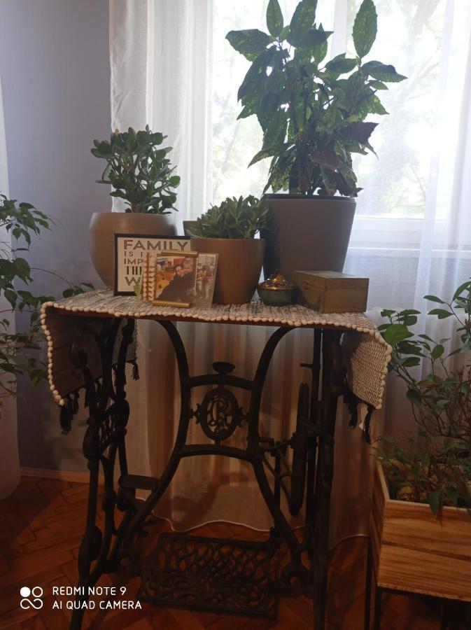 Aparmani Djuric Apartment ซูโบติกา ภายนอก รูปภาพ