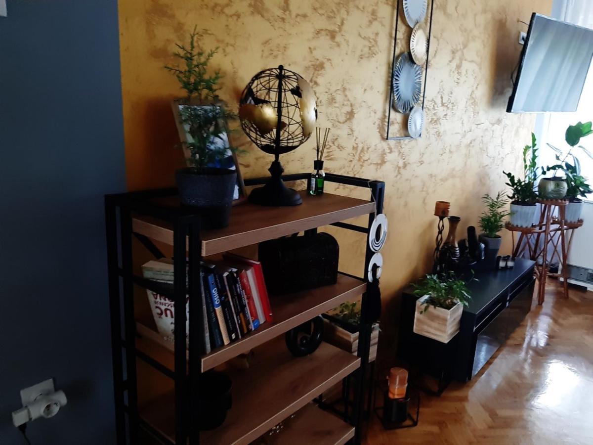 Aparmani Djuric Apartment ซูโบติกา ภายนอก รูปภาพ