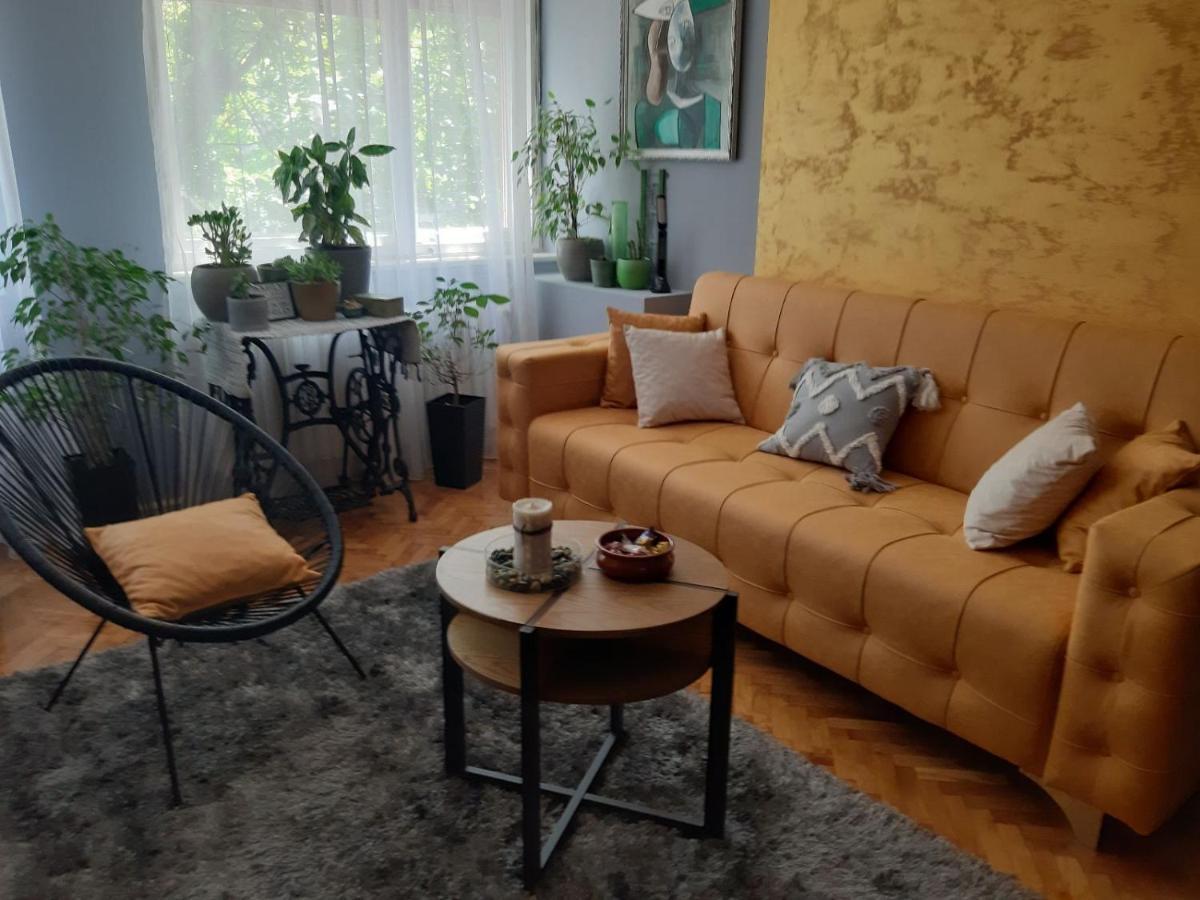 Aparmani Djuric Apartment ซูโบติกา ภายนอก รูปภาพ