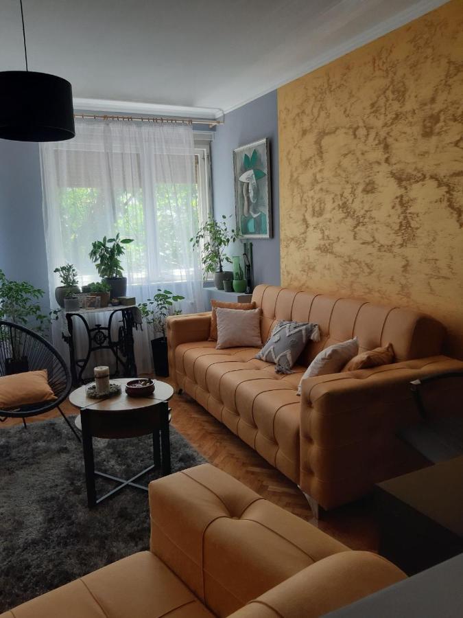 Aparmani Djuric Apartment ซูโบติกา ภายนอก รูปภาพ