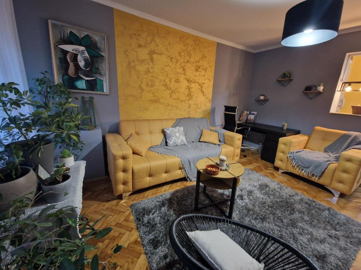 Aparmani Djuric Apartment ซูโบติกา ภายนอก รูปภาพ